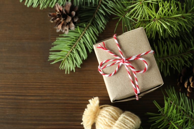 Gift Yourself the Gift of Health This Holiday Season with Acupuncture of Columbia